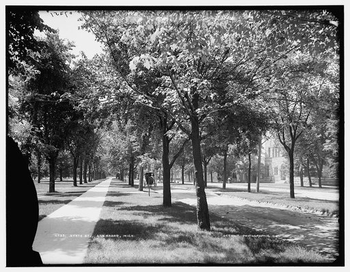 State St., Ann Arbor, Mich.