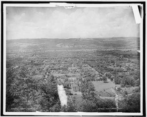 Dansville, N.Y.