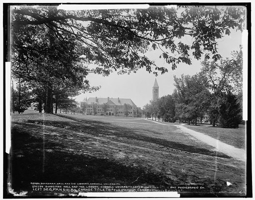 The Campus, Cornell University