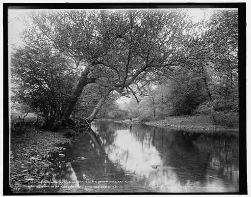 Fishing on the Genegantslet, Smithville Flats, N.Y.