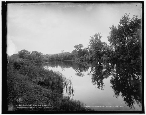 Tioughnioga River near Lisle, N.Y.