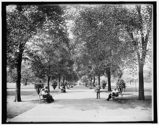 A Walk in  Lincoln Park, Chicago