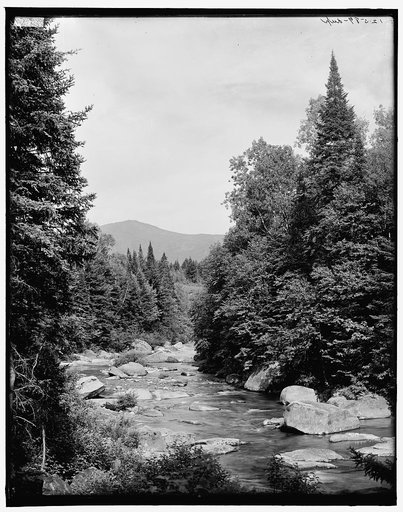 Mt. Washington from the Ammonoosuc, White Mountains