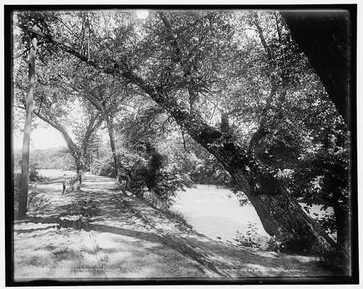 By the Swannanoa, Asheville, N.C.