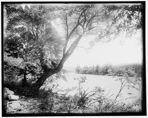 The French Broad at Jack's Run, N.C.