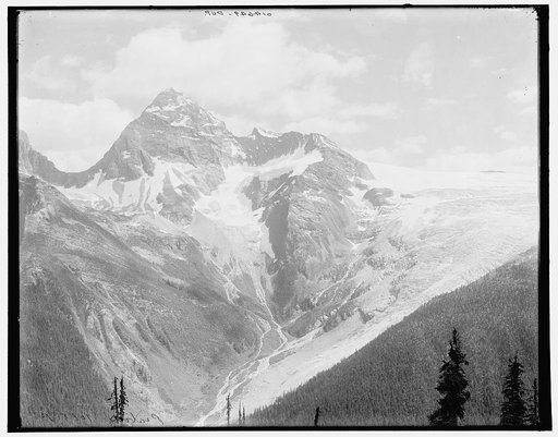 Sir Donald and Illecillewaet Glacier from Mt. Abbott, Selkirk Mountains, B.C.