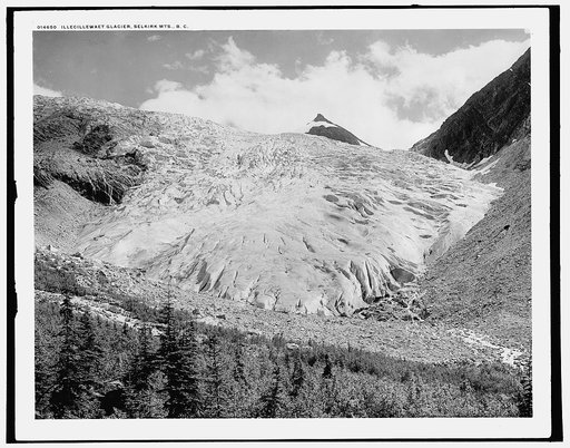 Illecillewaet Glacier, Selkirk Mts., B.C.
