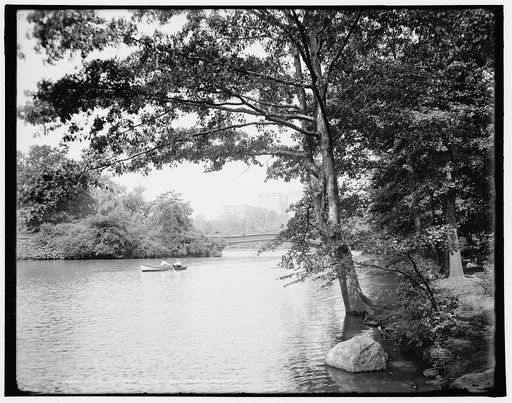 Lake and bridge, Central Park, New York