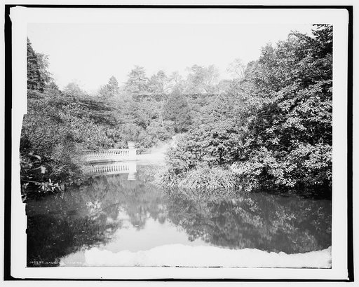 Vale Cashmere, Prospect Park, Brooklyn, N.Y.