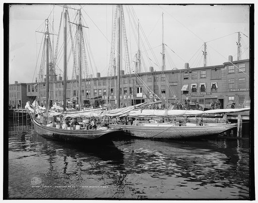 Fisher schooners at "T" wharf, Boston, Mass.