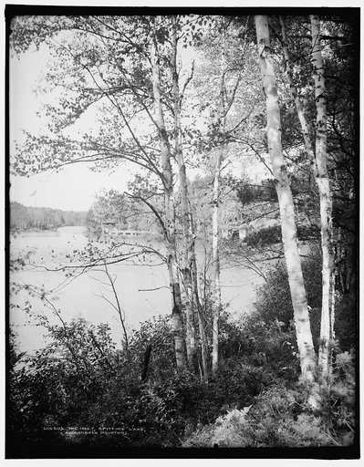 The Inlet, Spitfire [i.e. Saint Regis] Lake, AdirondackMountains