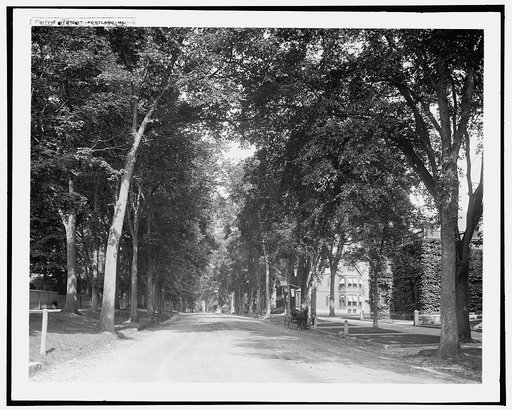 State Street, Portland, Me.