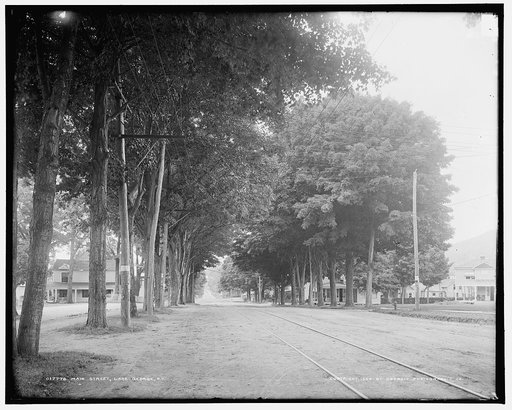 Main [i.e. Canada] Street, Lake George, N.Y.