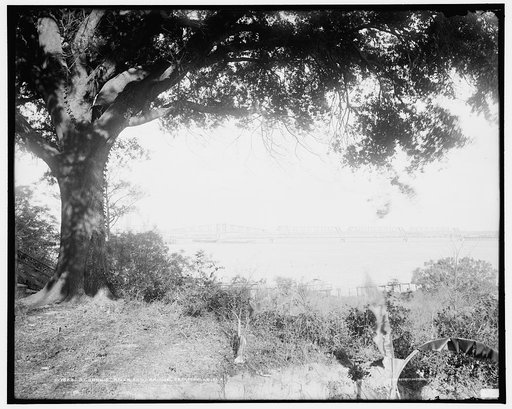 St. John's River and bridge, Jacksonville, Fla.