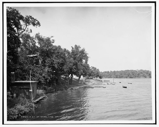 A Bit of shore, Lake Calhoun, Minn.