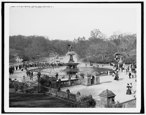Lake and terrace, Central Park, New York, N.Y.
