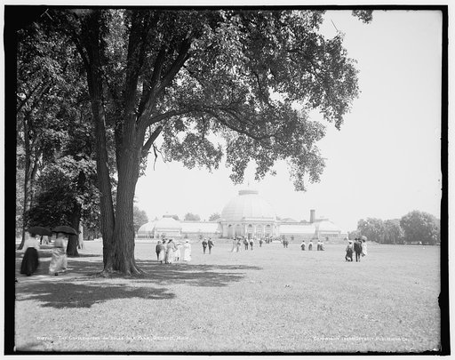 The Conservatory on Belle Isle Park, Detroit, Mich.