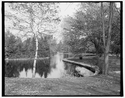 Lake in Elm Park, Worcester, Mass.