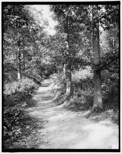 Stone stairway, Franklin Park, Boston, Mass.