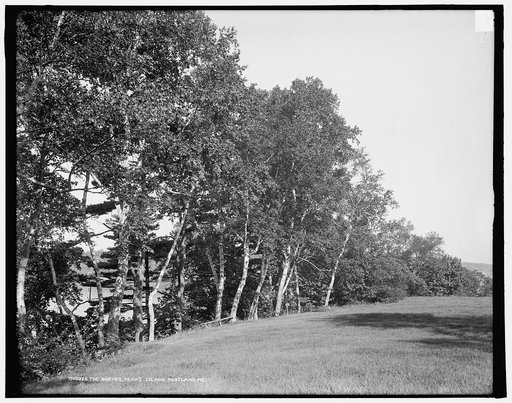 The Birches, Peak's [i.e. Peaks] Island, Portland, Me.