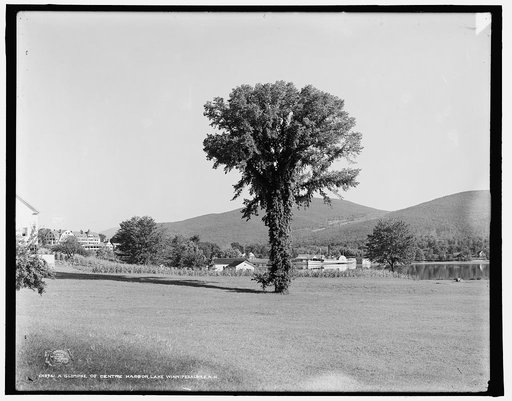 A Glimpse of Centre Harbor, Lake Winnipesaukee, N.H.