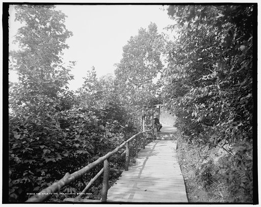 The Walk to the inn, Roaring Brook, Mich.