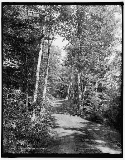 Leslie Avenue, Mackinac Island, Mich.
