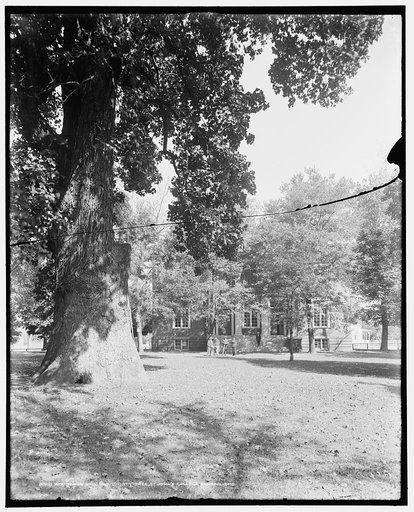 Woodward Hall and liberty tree, St. John's College, Annapolis, Md.