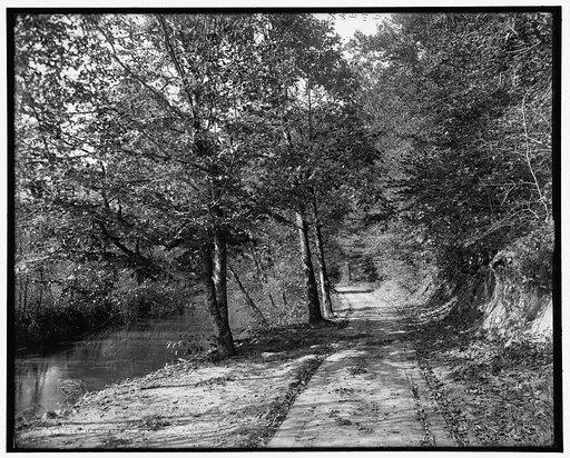 Rock Creek Road, zoo park, Washington, D.C.