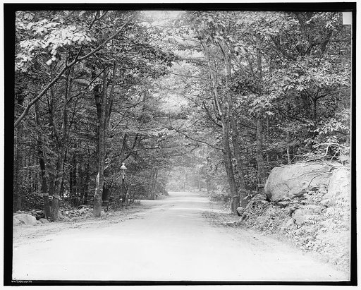 Road to Manchester, Magnolia, Mass.