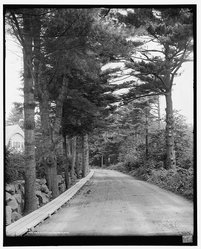 Road to station, Magnolia, Mass.