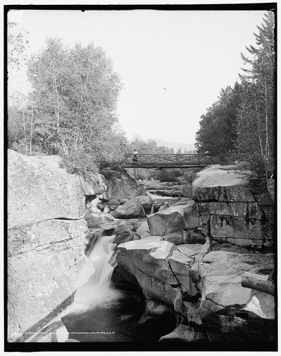 Upper Falls of the Ammonoosuc, White Mts., N.H.