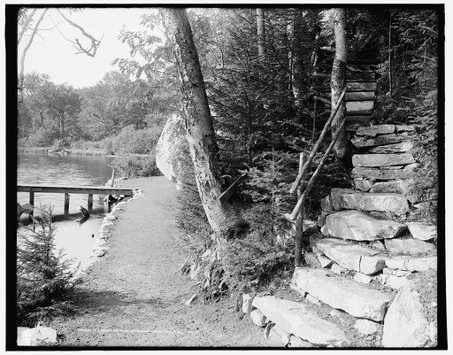 The Walk around Saco Lake, White Mts., N.H.