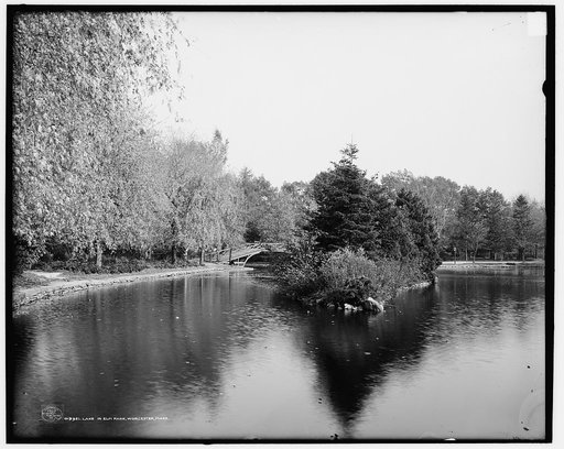 Lake in Elm Park, Worcester, Mass.
