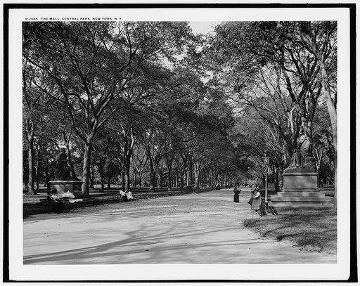 The Mall, Central Park, New York, N.Y.