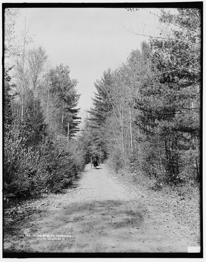 On the road to Franconia, White Mountains