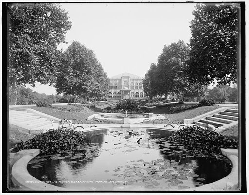 Lily ponds and flower beds, Fairmount Park, Philadelphia, Pa.