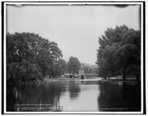 North end of lake, Public Garden, Boston