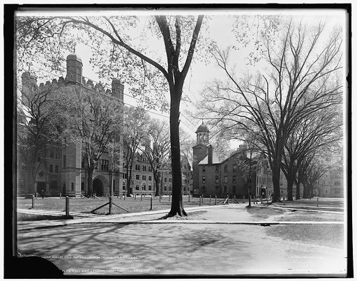 Phelps Halls and Lyceum from campus, Yale College