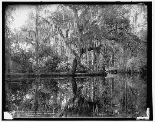 Across the lake, Magnolia-on-the-Ashley [i.e. Magnolia Gardens], Charleston, S.C.
