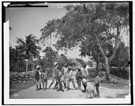 Street scrap in Grant's Town, Nassau, W.I.