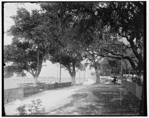 The Shell road and Biloxi light, Biloxi, Miss.