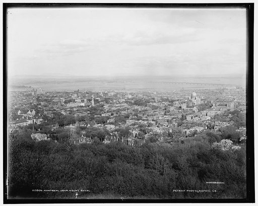 Montreal from Mount Royal