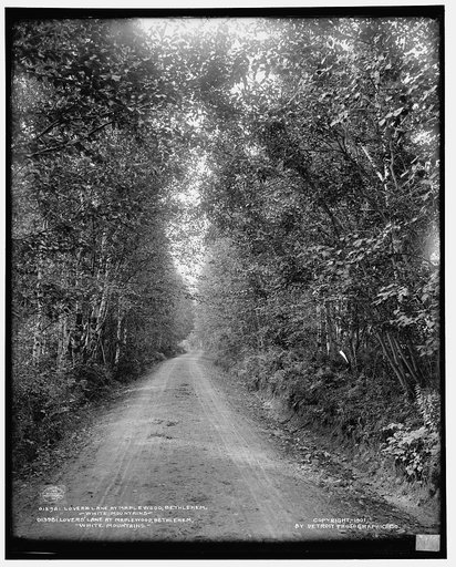 Lover's [sic] Lane at Maplewood, Bethlehem, White Mountains