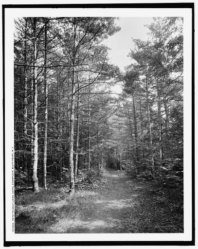 Path to golf links, Hotel Champlain, Bluff Point, N.Y.