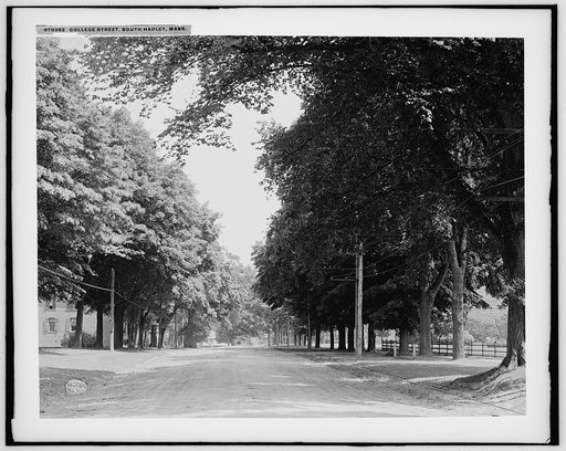 College Street, South Hadley, Mass.