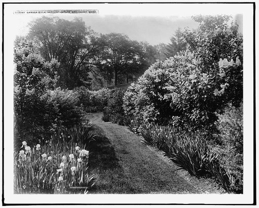Garden walk, Sargent estate, Brookline, Mass.