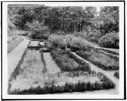 Gardens, Chestnut Hill, Brookline [sic], Mass.