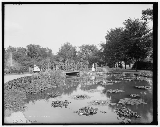 Lily pond, Belle Isle [Park], Detroit, Mich.