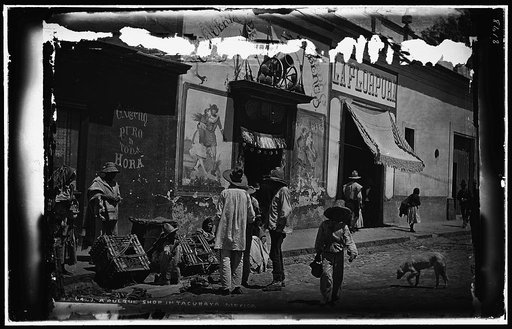 A pulgue [i.e. pulque] shop in Tacubaya, Mexico